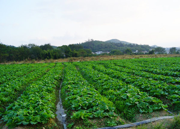 食材配送